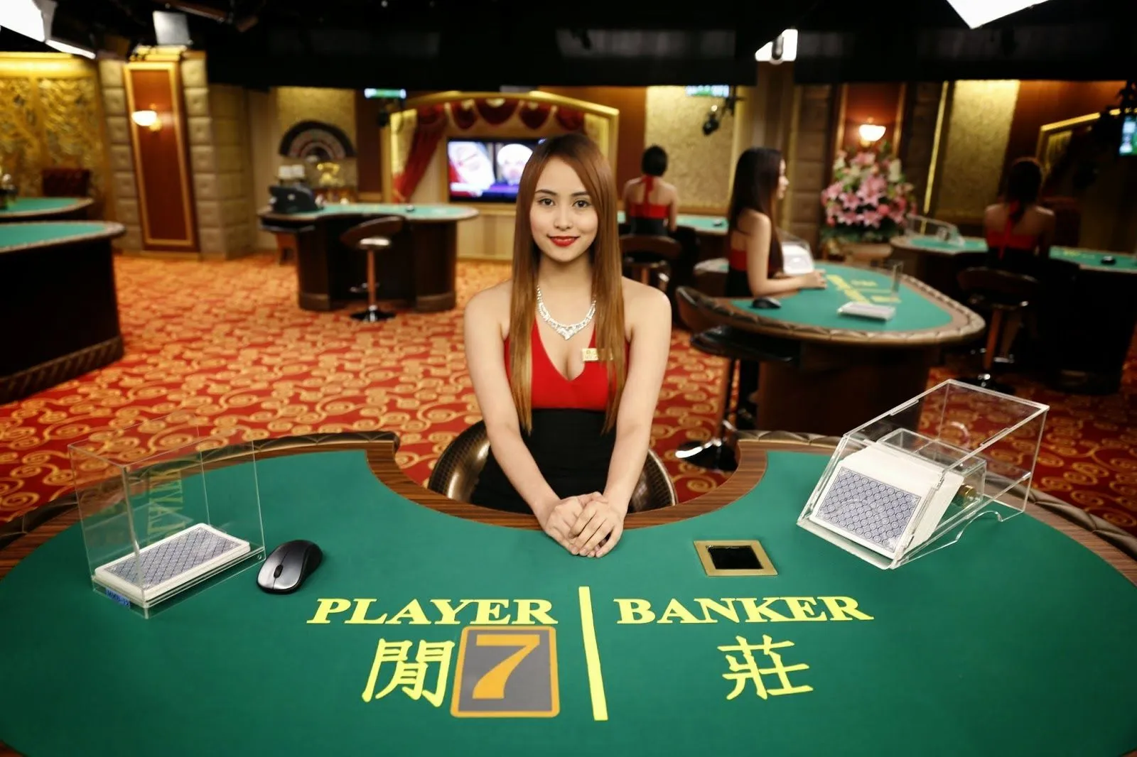 How to Pick the Best Live Casino
